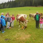 Hansalagut Mauterndorf (Salzburg)