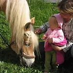 Gospodarstwo agroturystyczne Hansalagut Mauterndorf (Salzburg)