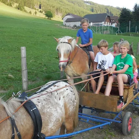 Farm stay Hansalagut Mauterndorf (Salzburg)
