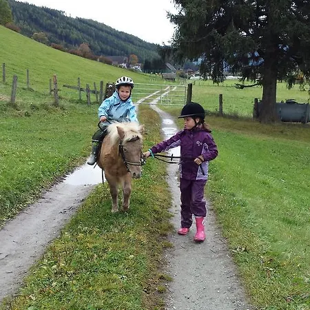 Фермерский дом Hansalagut Маутерндорф