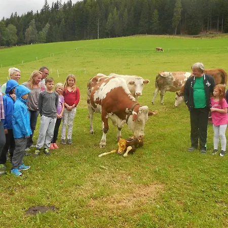 Hansalagut Mauterndorf (Salzburg)