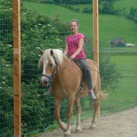 Фермерский дом Hansalagut Маутерндорф