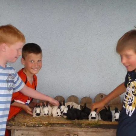 Hansalagut Фермерский дом Маутерндорф