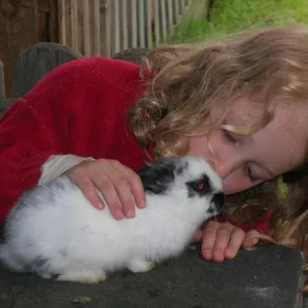 Hansalagut * Маутерндорф