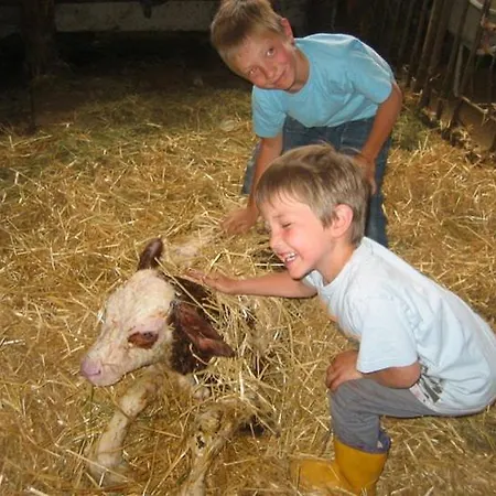 Hansalagut Фермерский дом Маутерндорф