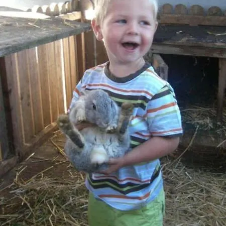 Фермерский дом Hansalagut *