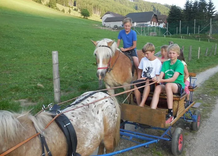 Vakantieboerderij Hansalagut Mauterndorf (Salzburg)