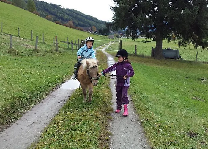 Vakantieboerderij Hansalagut Mauterndorf (Salzburg)