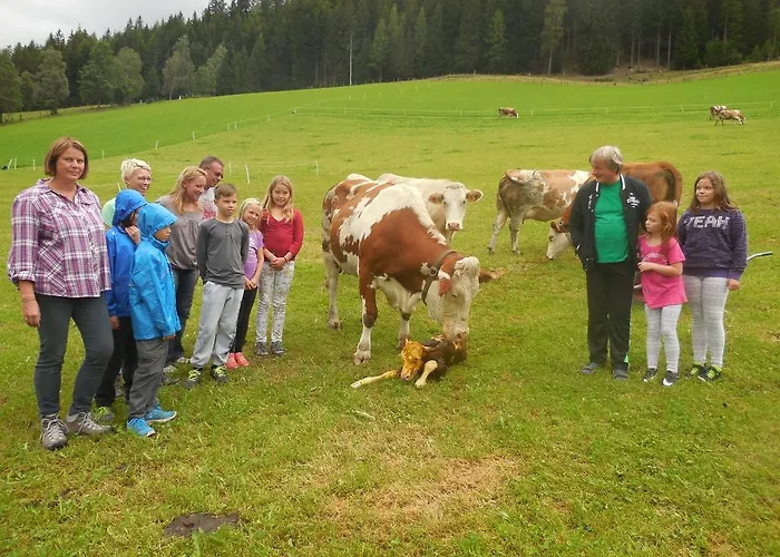 Hansalagut Mauterndorf (Salzburg)