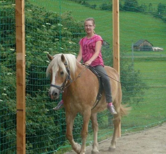 Vakantieboerderij Hansalagut Mauterndorf (Salzburg)