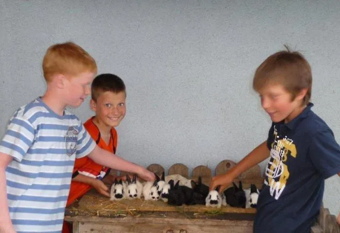Hansalagut Vakantieboerderij Mauterndorf (Salzburg)