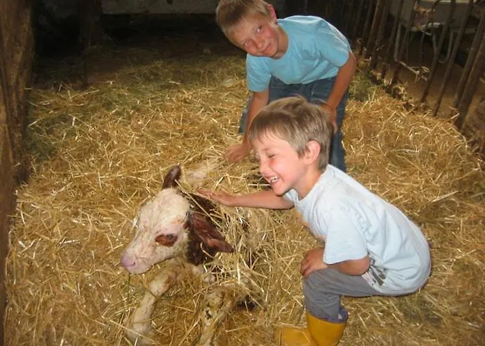 Hansalagut Vakantieboerderij Mauterndorf (Salzburg)