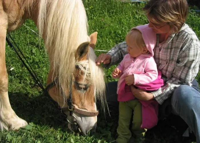Vakantieboerderij Hansalagut Mauterndorf (Salzburg)